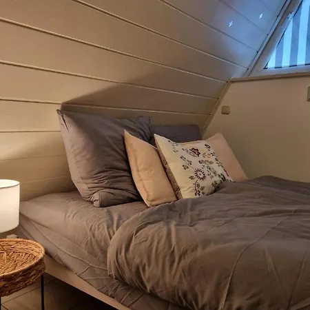 Freudentanz * Waldmünchen